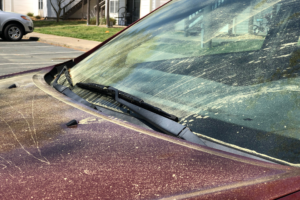 Auto vor Pollen schützen