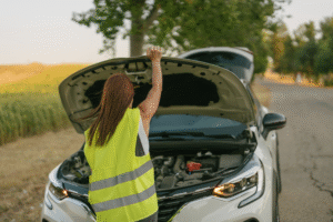 Tiere in der Motorhaube