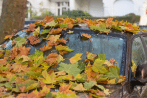 Pannen bei Herbstwetter